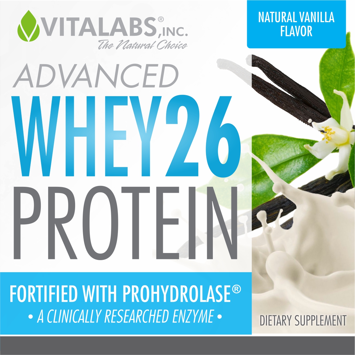 Protein Powder